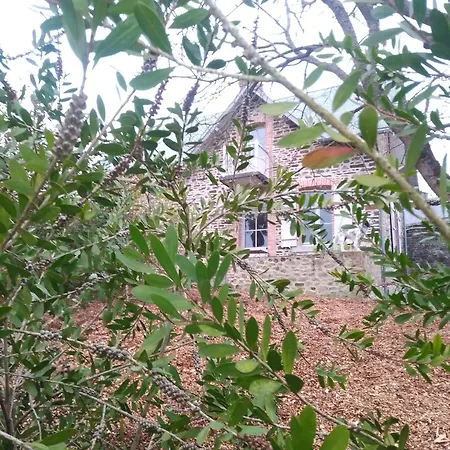 Domaine Le Gaudin - Jean Le Thomas *