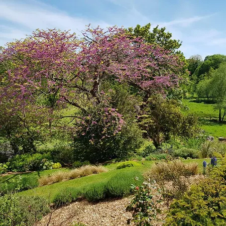 Domaine Le Gaudin - Jean Le Thomas Tatil Evi