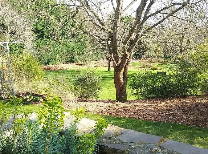 Domaine Le Gaudin - Jean Le Thomas Nyaraló
