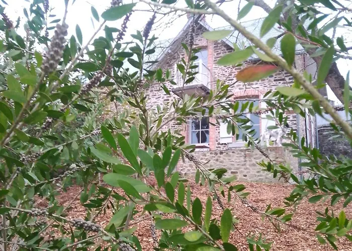 Domaine Le Gaudin - Jean Le Thomas *