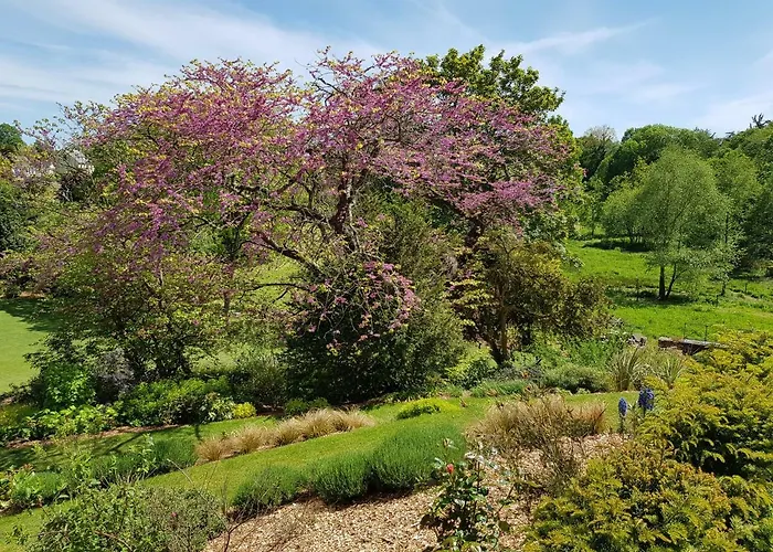 Domaine Le Gaudin - Jean Le Thomas Nyaraló