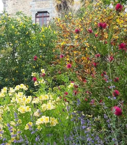 Domaine Le Gaudin - Jean Le Thomas Nyaraló *